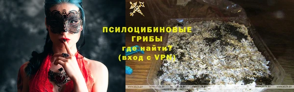 твердый Дмитриев