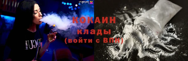твердый Дмитриев