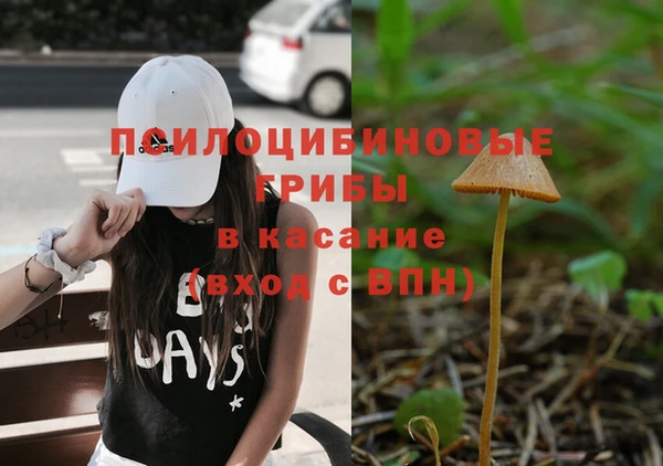 каннабис Елизово
